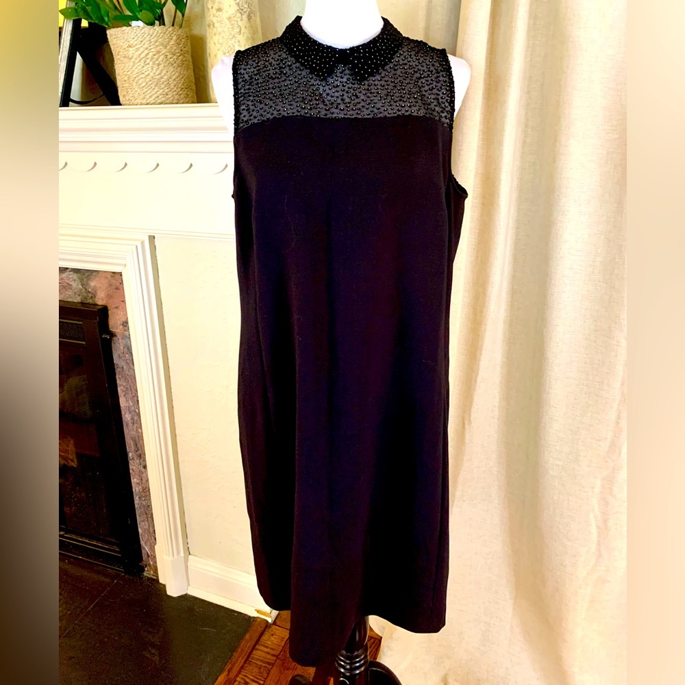 LOFT NWT woman’s black a line collared dress 14